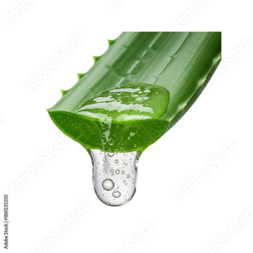 Aloe vera leaf with gel dripping