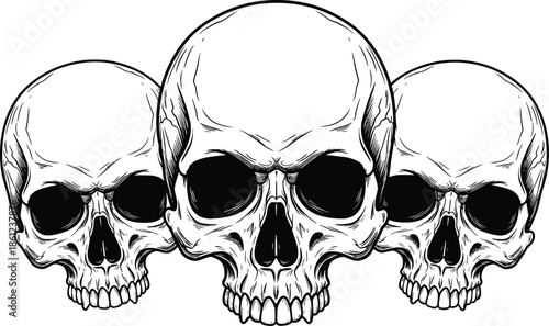Trio of Realistic Human Skulls Illustration with Detailed Black Line Art and Shading for Gothic and Halloween Designs