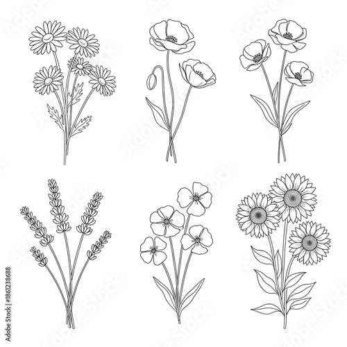 Illustrated wildflower bouquet