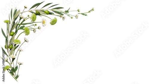Soft minimal floral corner composition with wildflowers and olive branches in neutral sage green isolated on white background