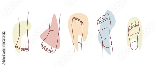 Women legs, feet knees and ankles set. Vector isolated elegant part of girl for design. Laser epilation or depilation in salon, massage. Isolated female elegant tread or slender sole