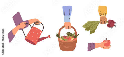 Farmers are working. Vector workers of crop farm collecting and watering products. Women hands with sprinkler can and pepper, men holding basket of fruits and vegetables and freshly harvested radishes