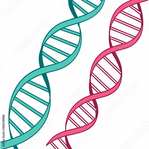 Double helix dna structure
