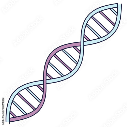 Illustration of a double helix