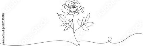 Elegant rose flower continuous one line drawing minimalist botanical art for wedding invitation logo design and aesthetic tattoo