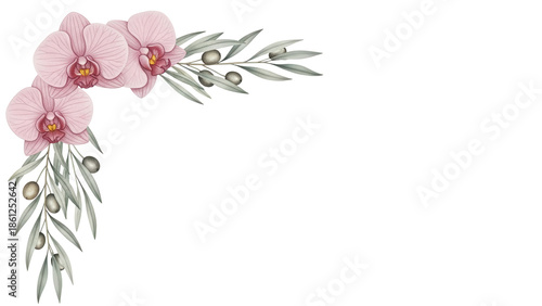 Minimal elegant watercolor corner design with orchids and olive branches in dusty rose isolated on white background