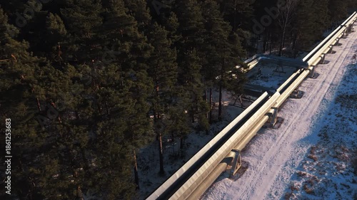 Wallpaper Mural Remote energy cables stretch above snowcovered forest with warm sunlight highlighting surfaces Torontodigital.ca