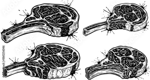 Four raw tomahawk ribeye steaks hand drawn in vintage engraving style