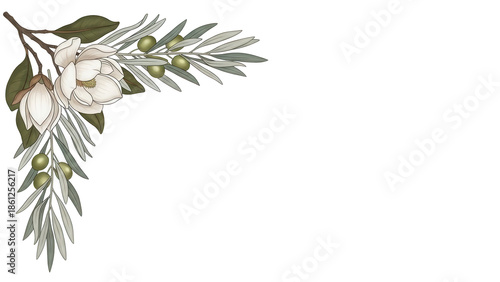 Minimal luxury botanical corner border featuring magnolia and olive branches in neutral earth tones isolated on white background