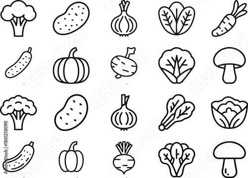 fresh vegetable illustrations of broccoli, carrots, onions, and mushrooms