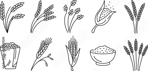 wheat and grain illustrations for food, agriculture, and farming themes