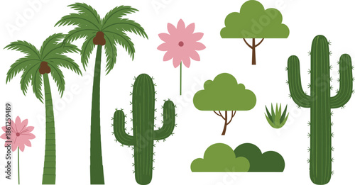Tropical and desert plant collection featuring tall palm trees saguaro cacti green leafy trees pink flowers and bushes for nature landscape vector.