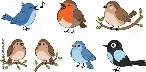 Cute bird character collection featuring cartoon bluebird robin sparrow and songbirds perched on branches for spring nature wildlife and flat vector design.