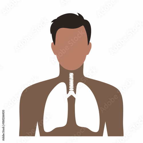 Human silhouette showing lungs anatomy and respiratory system health illustration for medical designs
