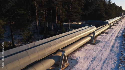 Wallpaper Mural Pipeline extends endlessly, Image depicts pipeline seamlessly reaching horizon line through icy trees Torontodigital.ca