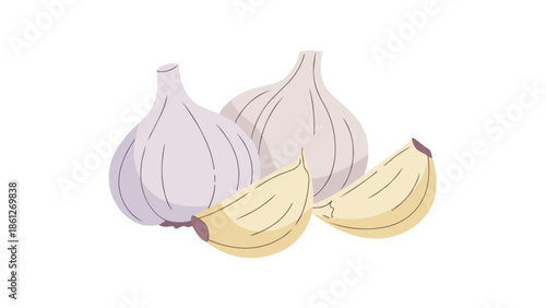 An intricate flat design illustration showcasing fresh, wholesome garlic bulbs alongside individually peeled cloves, representing essential cooking