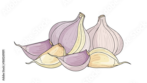 Vibrant hand-drawn illustration featuring a rustic cluster of aromatic garlic bulbs and individual cloves presented on a crisp white background a