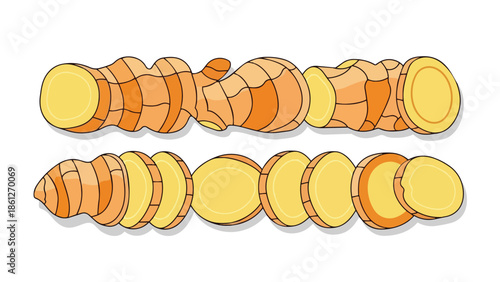 Fresh ginger roots depicted with both whole rhizomes and perfectly sliced circular pieces illustrating a vital culinary spice ingredient for