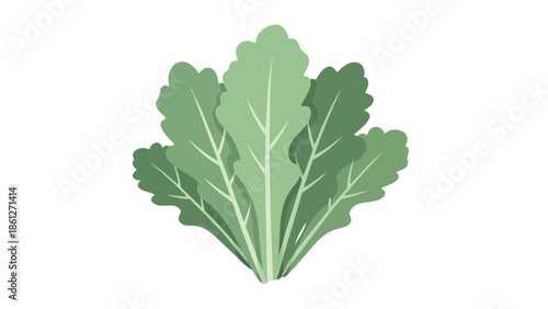 Freshly harvested green leafy vegetables depicted in a minimalist flat design illustration perfect for healthy eating concepts