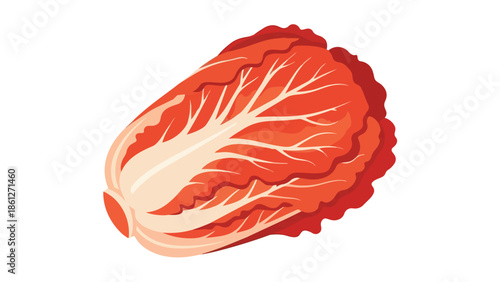 Vibrant vector illustration of a fresh red cabbage head showcasing crisp leaves and delicate vein patterns on a clean white background. Healthy