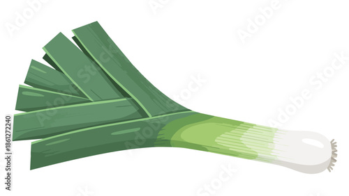 Vibrant green and white leek illustration showcasing fresh culinary vegetable garden produce healthy ingredient for cooking delicious meals from