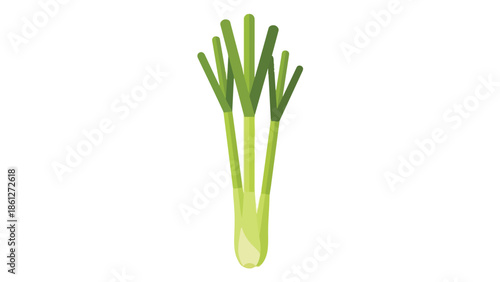 Vibrant minimalist vector illustration of fresh green spring onion stalks.