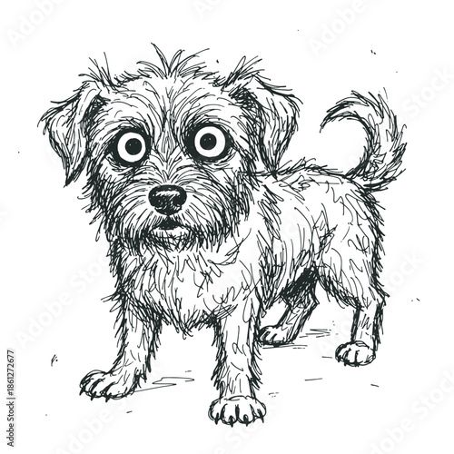 a scruffy dog with oversized eyes