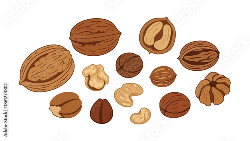 An artistic illustration displaying a diverse assortment of wholesome nuts including walnuts cashews and hazelnuts artfully scattered for healthy