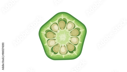 A fresh and vibrant green okra cross-section illustration showcasing its distinct pentagonal shape and perfectly arranged internal seeds a healthy