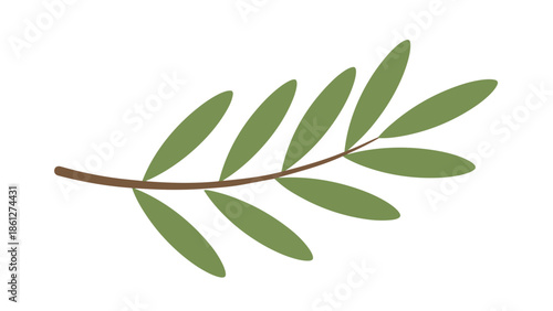 Elegant minimalist illustration of a fresh olive branch with vibrant green leaves on a slender brown stem, symbolizing peace, purity, and organic