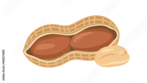 Vibrant cartoon illustration of a fresh peanut pod cracked open revealing two kernels alongside a single shelled nut