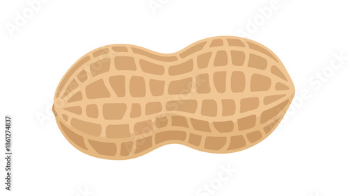 Stylized depiction of a whole peanut pod with its characteristic textured shell, isolated on a bright white background, symbolizing healthy snacking