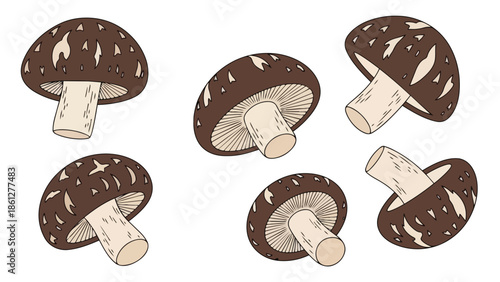 Illustrative shiitake mushrooms set: a collection of savory fungi illustrations perfect for culinary designs