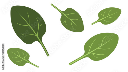 Lively green spinach leaves gently scattered across a clean white backdrop a fresh and organic food illustration for health focused designs and