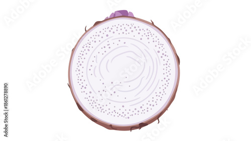 A visually appealing minimalist illustration capturing the intrinsic elegance of a taro root's intricate cross-section displaying natural organic