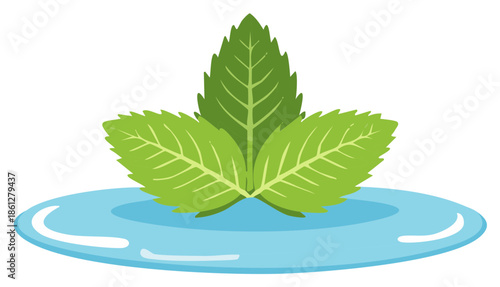 Fresh Mint Leaves Resting on a Droplet of Water