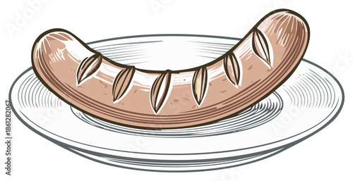Appetizing cooked sausage with score marks served on a simple plate vector illustration