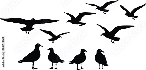Seagull silhouettes, flying birds illustration, coastal wildlife artwork, flock in motion, standing gulls, marine nature scene, seaside bird graphic design