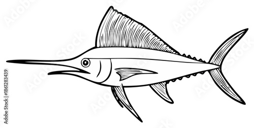 Striking marlin fish drawing with sharp pointed bill and fin detail isolated