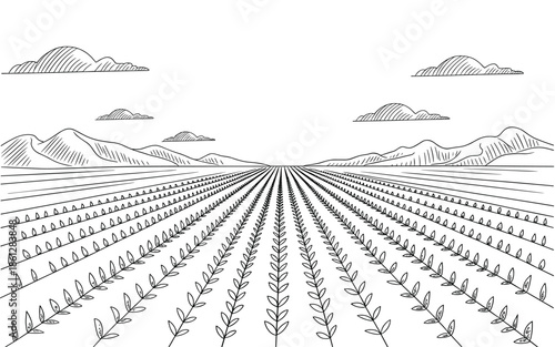 Hand drawn vintage windmill sketch in rural landscape with fields trees and clouds for rustic design,