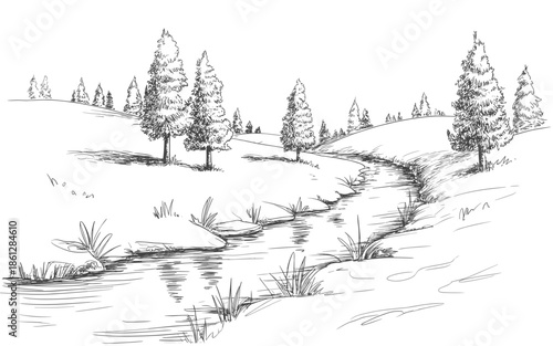 Black and white linear illustration of a winding stream in a scenic evergreen woodland environment