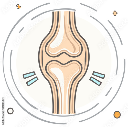 Human knee joint illustration displaying normal joint structure and anatomy on a light background