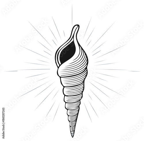Detailed black and white illustration of a seashell with radiating lines