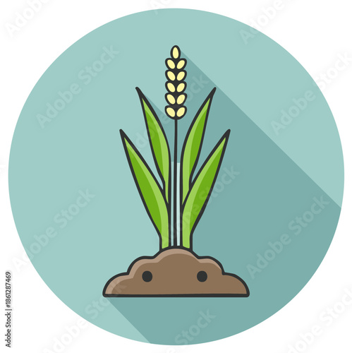 Stylized illustration of a growing wheat stalk emerging from soil with long shadows