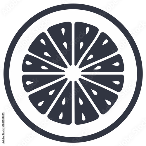 Simple citrus fruit slice vector icon minimalist black and white round lemon orange symbol