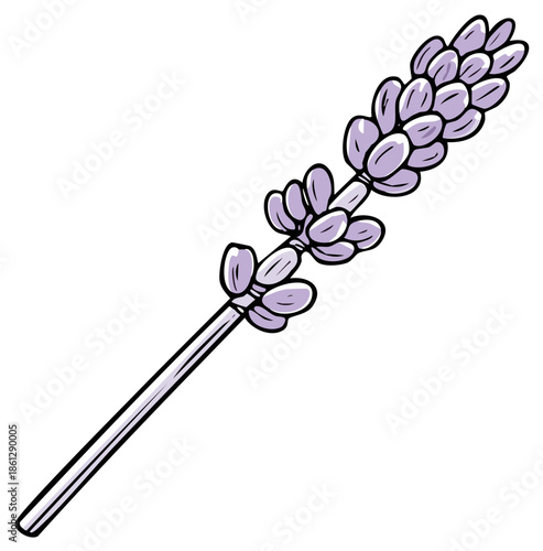 Charming lavender sprig vector illustration features soft purple hues and bold outlines on a single stem