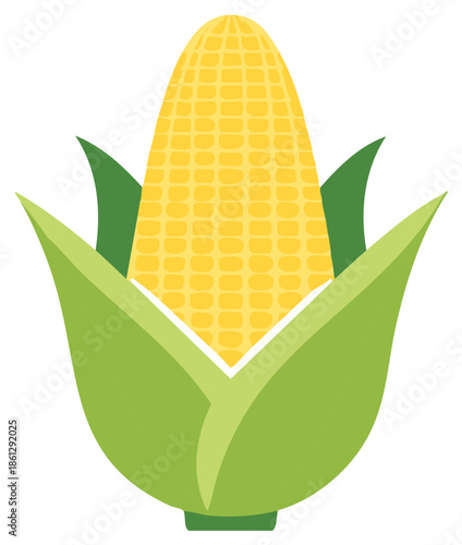 Fresh yellow corn cob with green husks and leaves illustration