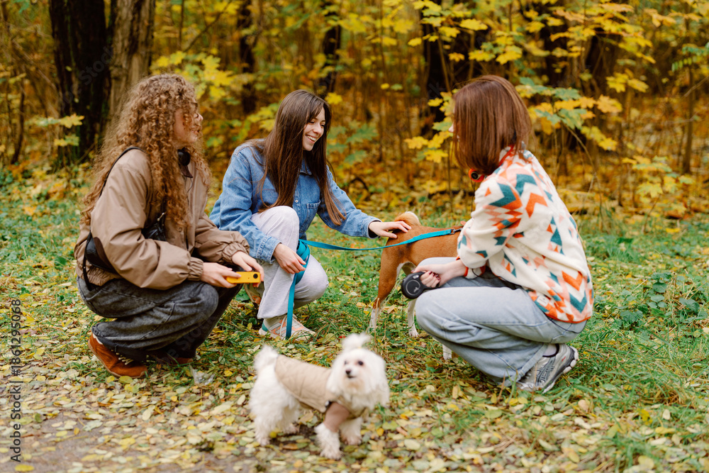 Fototapeta premium In a vibrant autumn park, three friends interact joyfully as they gather around their playful dogs. The golden leaves create a warm backdrop, enhancing the cheerful vibe of the day.