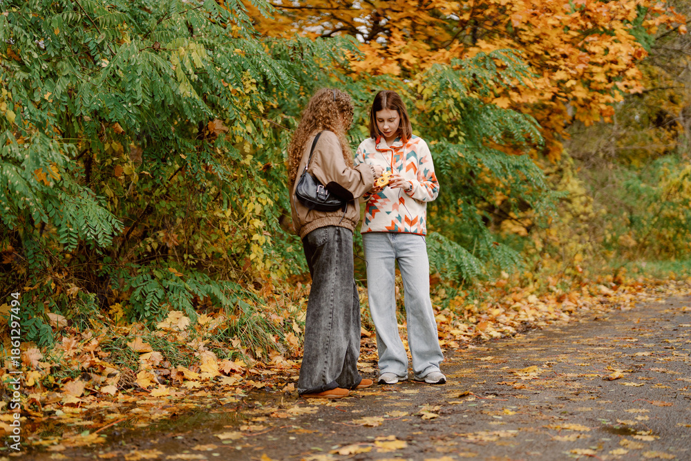 Fototapeta premium Two friends stand closely together, sharing a moment while walking along a path surrounded by vibrant autumn foliage. The air is crisp, and the ground is covered in leaves.
