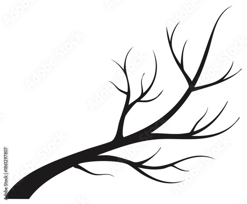 Silhouette of a bare tree branch with multiple twigs, graphic design element